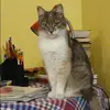 Отзыв от Венера Савельева